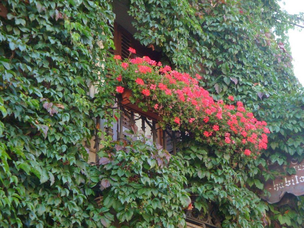 Hotel Casa Frauca Sarvise Exterior photo